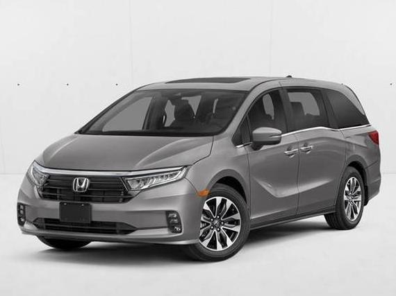 HONDA ODYSSEY 2024 5FNRL6H65RB031818 image
