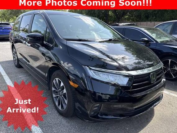HONDA ODYSSEY 2024 5FNRL6H68RB050220 image