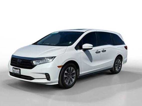 HONDA ODYSSEY 2024 5FNRL6H68RB025141 image