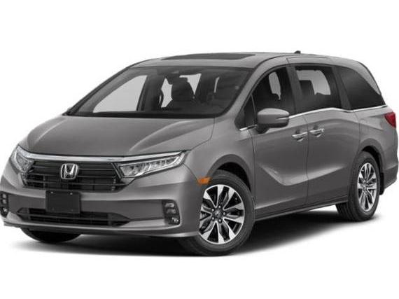 HONDA ODYSSEY 2024 5FNRL6H6XRB032611 image
