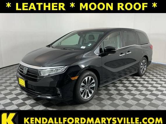 HONDA ODYSSEY 2024 5FNRL6H67RB019234 image