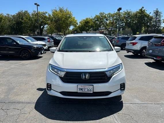 HONDA ODYSSEY 2024 5FNRL6H61RB043562 image