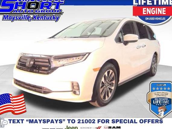 HONDA ODYSSEY 2024 5FNRL6H64RB075647 image