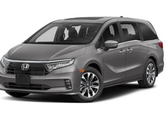 HONDA ODYSSEY 2024 5FNRL6H63RB032319 image