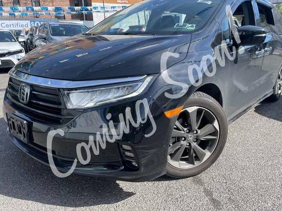 HONDA ODYSSEY 2024 5FNRL6H95RB029934 image