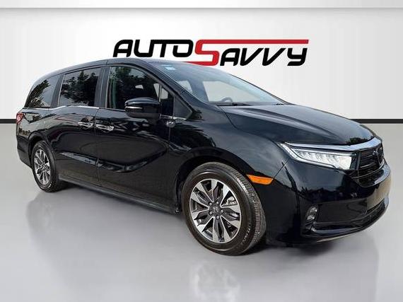 HONDA ODYSSEY 2024 5FNRL6H65RB018602 image