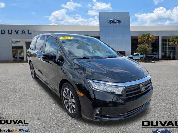 HONDA ODYSSEY 2024 5FNRL6H66RB050250 image