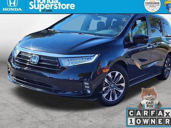 HONDA ODYSSEY 2024 5FNRL6H68RB050279 image