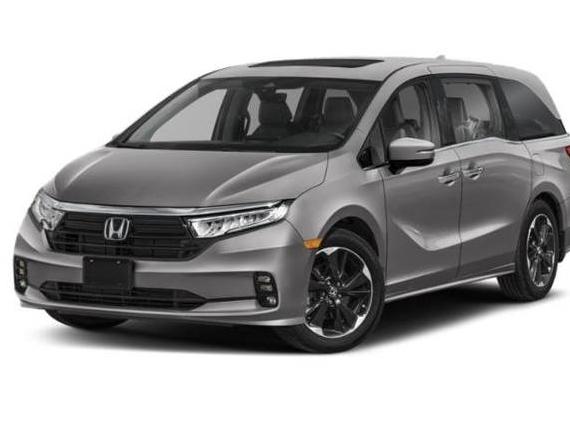 HONDA ODYSSEY 2024 5FNRL6H93RB009875 image
