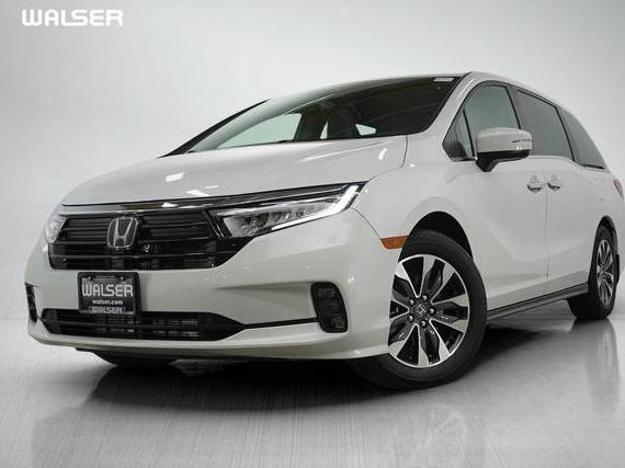 HONDA ODYSSEY 2024 5FNRL6H65RB033519 image
