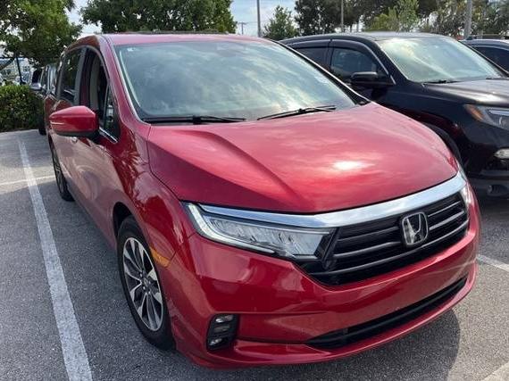 HONDA ODYSSEY 2024 5FNRL6H67RB007181 image HONDA ODYSSEY 2024 5FNRL6H67RB007181 image