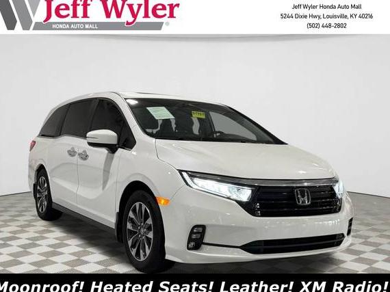 HONDA ODYSSEY 2024 5FNRL6H67RB048877 image