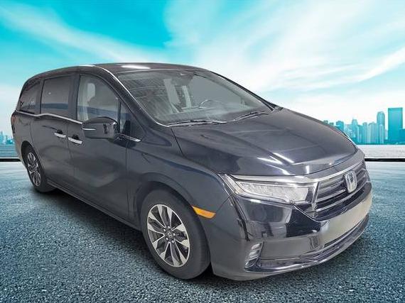 HONDA ODYSSEY 2024 5FNRL6H68RB050203 image