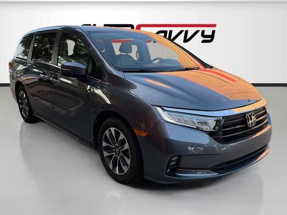 HONDA ODYSSEY 2024 5FNRL6H65RB012301 image