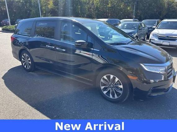 HONDA ODYSSEY 2024 5FNRL6H64RB066494 image