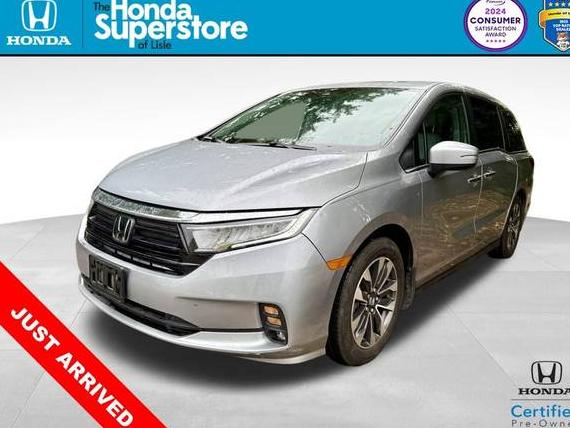 HONDA ODYSSEY 2024 5FNRL6H63RB052649 image