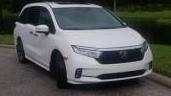 HONDA ODYSSEY 2024 5FNRL6H94RB000151 image