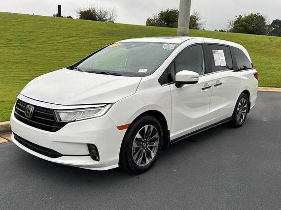 HONDA ODYSSEY 2024 5FNRL6H68RB053456 image