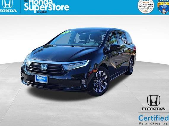 HONDA ODYSSEY 2024 5FNRL6H69RB052722 image