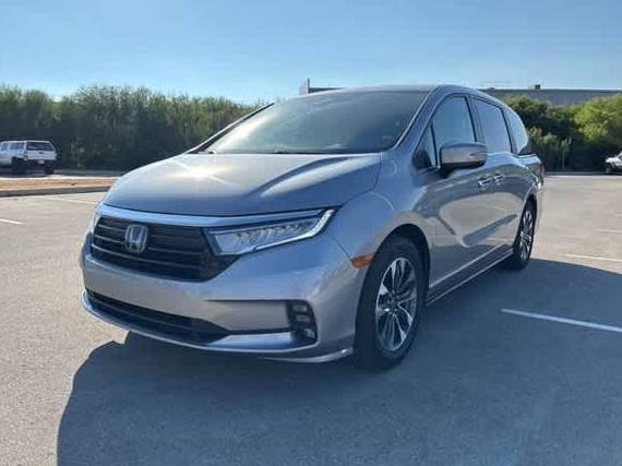 HONDA ODYSSEY 2024 5FNRL6H68RB043896 image