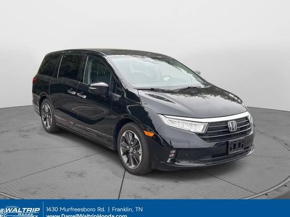 HONDA ODYSSEY 2024 5FNRL6H91RB033253 image