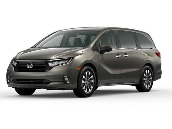 HONDA ODYSSEY 2024 5FNRL6H63RB049332 image
