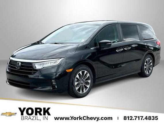 HONDA ODYSSEY 2024 5FNRL6H62RB047541 image HONDA ODYSSEY 2024 5FNRL6H62RB047541 image