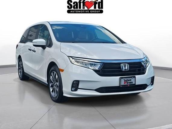 HONDA ODYSSEY 2024 5FNRL6H63RB067846 image