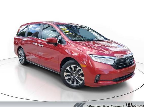 HONDA ODYSSEY 2024 5FNRL6H62RB072312 image