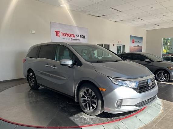 HONDA ODYSSEY 2024 5FNRL6H60RB033332 image