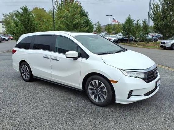 HONDA ODYSSEY 2024 5FNRL6H67RB046191 image