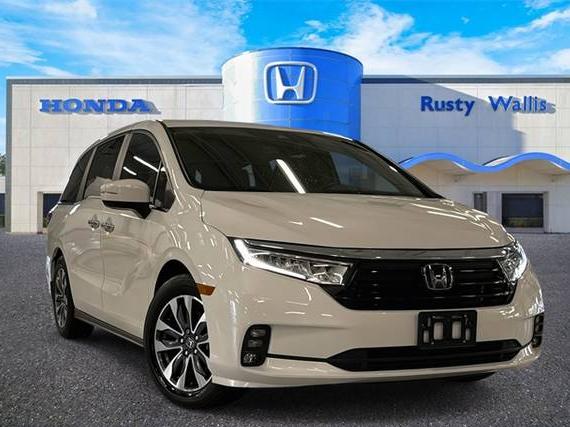HONDA ODYSSEY 2022 5FNRL6H77NB003330 image