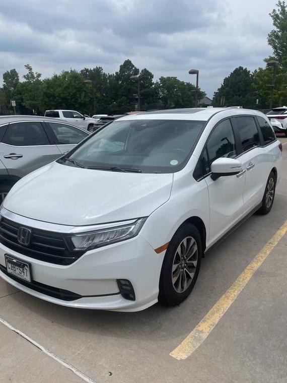 HONDA ODYSSEY 2022 5FNRL6H74NB012597 image