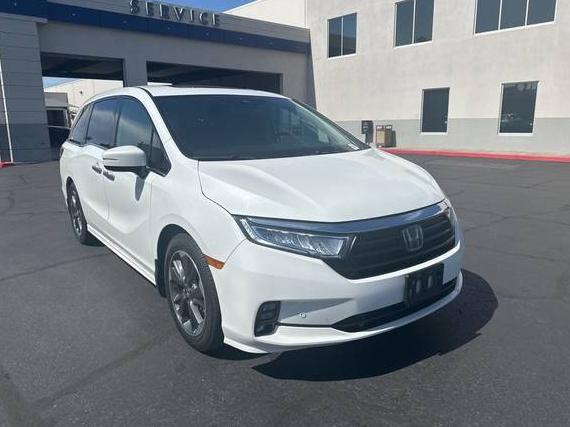 HONDA ODYSSEY 2022 5FNRL6H90NB054217 image