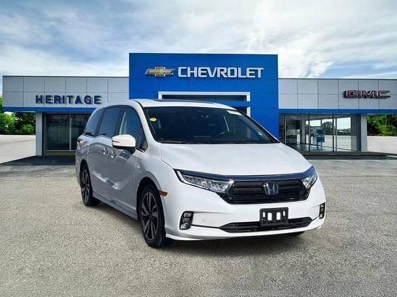 HONDA ODYSSEY 2022 5FNRL6H82NB069339 image