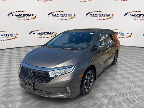 HONDA ODYSSEY 2022 5FNRL6H72NB064973 image