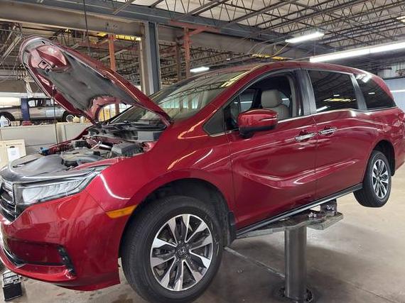 HONDA ODYSSEY 2022 5FNRL6H73NB036552 image