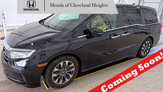 HONDA ODYSSEY 2022 5FNRL6H79NB066199 image