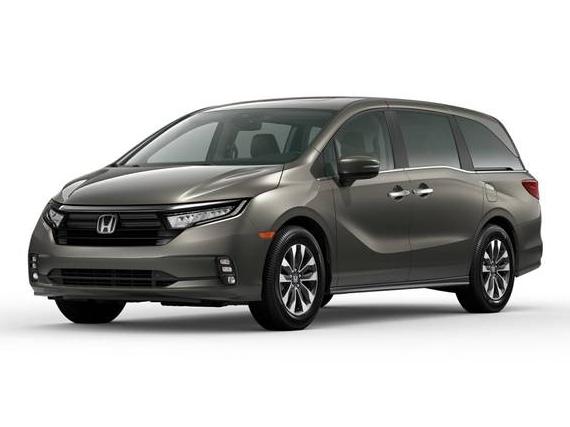 HONDA ODYSSEY 2022 5FNRL6H7XNB034734 image