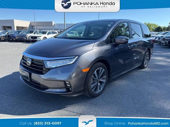 HONDA ODYSSEY 2022 5FNRL6H83NB067616 image