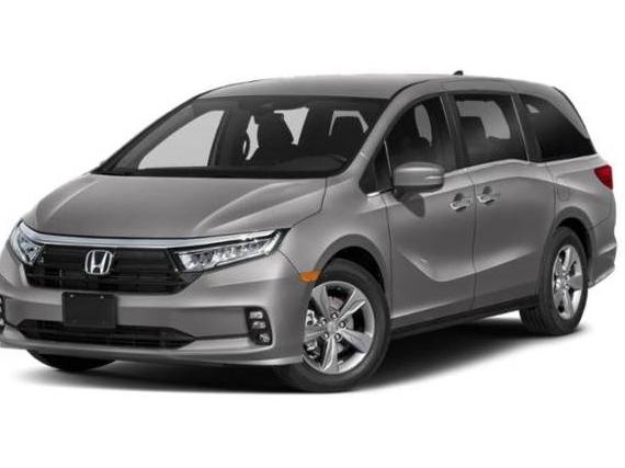 HONDA ODYSSEY 2022 5FNRL6H55NB049818 image