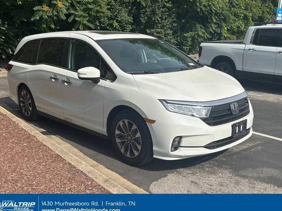HONDA ODYSSEY 2022 5FNRL6H74NB063601 image