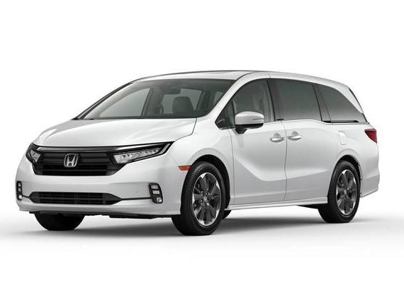 HONDA ODYSSEY 2022 5FNRL6H93NB050016 image
