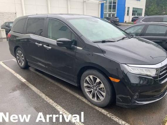 HONDA ODYSSEY 2022 5FNRL6H79NB006763 image