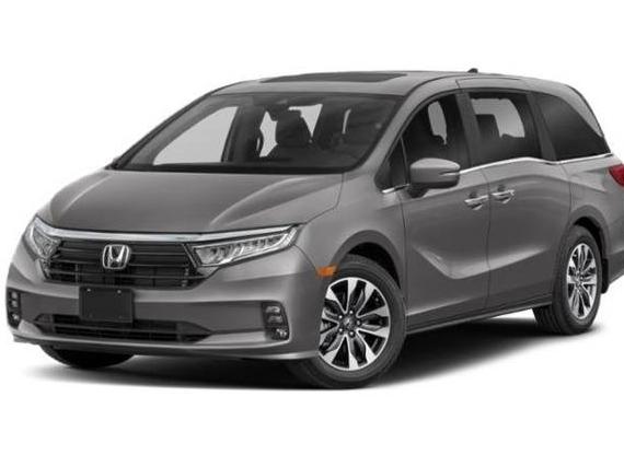 HONDA ODYSSEY 2022 5FNRL6H73NB042318 image