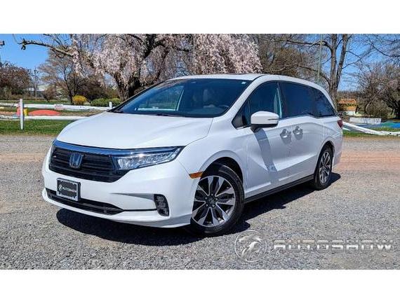 HONDA ODYSSEY 2022 5FNRL6H72NB034808 image