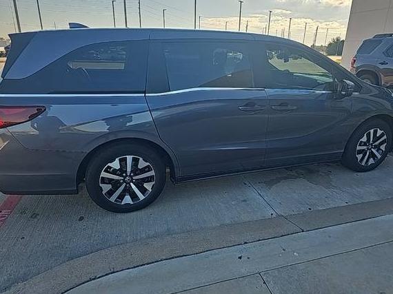 HONDA ODYSSEY 2025 5FNRL6H65SB064422 image