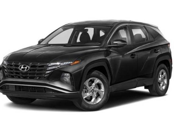 HYUNDAI TUCSON 2023 KM8JFCAEXPU190077 image