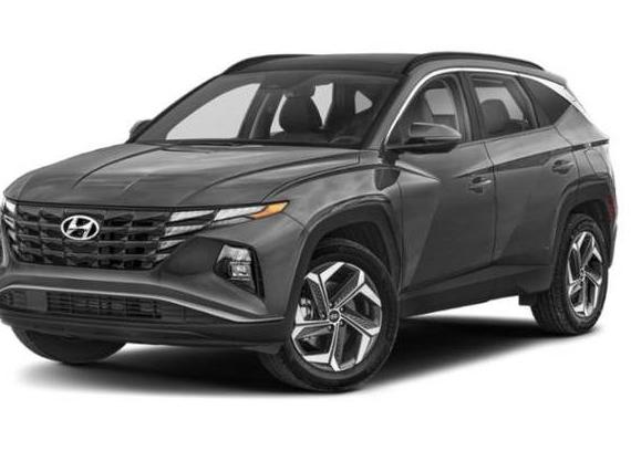 HYUNDAI TUCSON 2023 KM8JFCA14PU134407 image