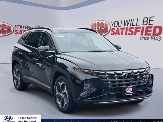 HYUNDAI TUCSON 2023 5NMJECAE0PH206155 image